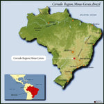 12oz Brazil Cerrado